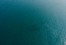 If you can get an international level boat ride….
